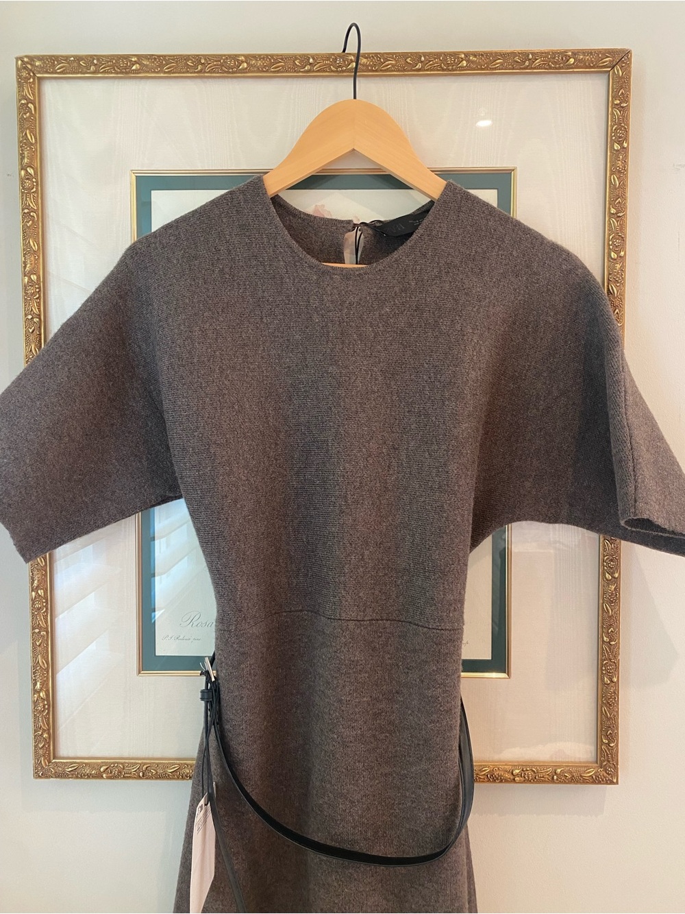 Zara Fall Dress Size medium new